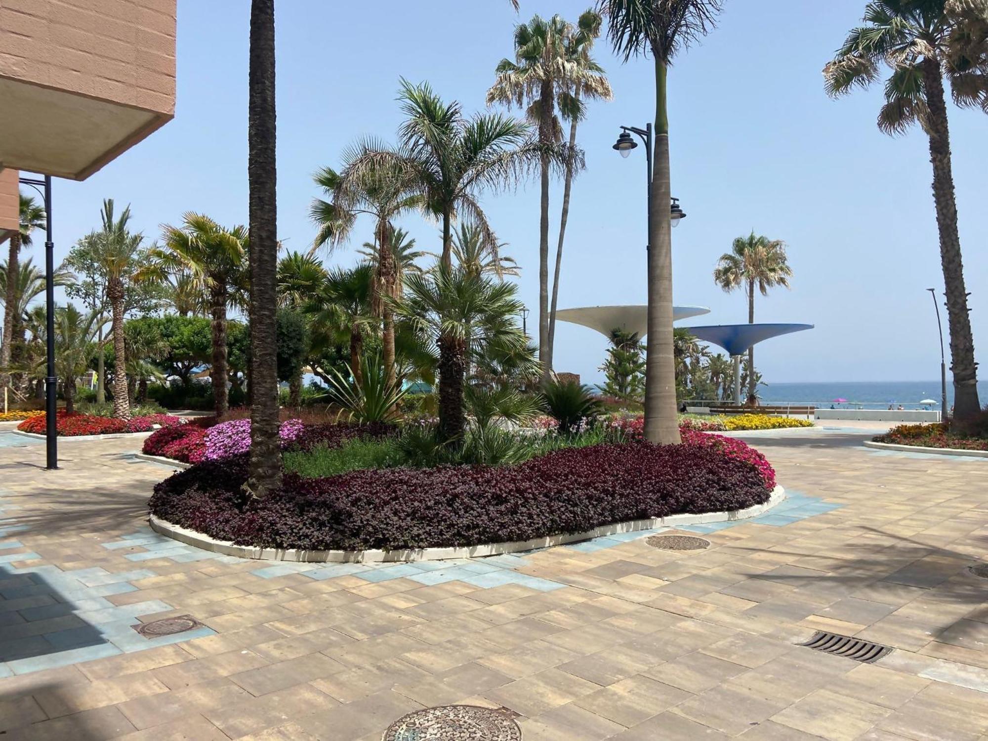 Victoria Home & Parking Estepona Dış mekan fotoğraf